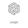 Jungle (Радио Рекорд) (Москва)