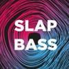 Slap Bass (DFM) (Москва)