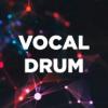 Vocal Drum (DFM) (Россия - Москва)