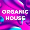 Organic House (DFM) (Москва)