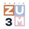 Radio Zum 3 (Молдова - Кишинев)