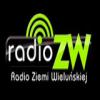 Radio Ziemi Wielunskiej 88.6 FM (Польша - Велюнь)