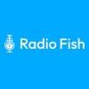 Radio.Fish (Москва)