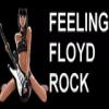 Feeling Floyd Rock (Франция - Плоемер)